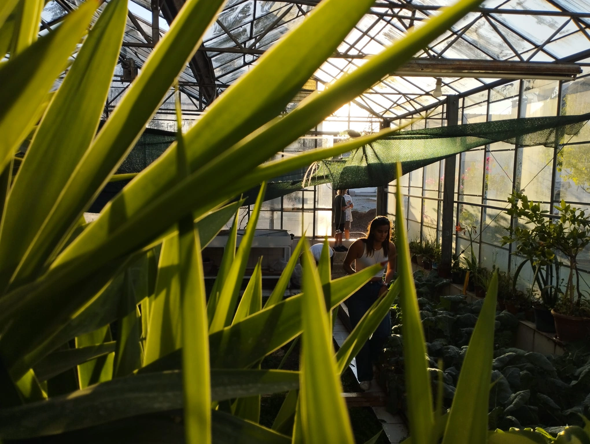 Farkına Var Açlık Var 5