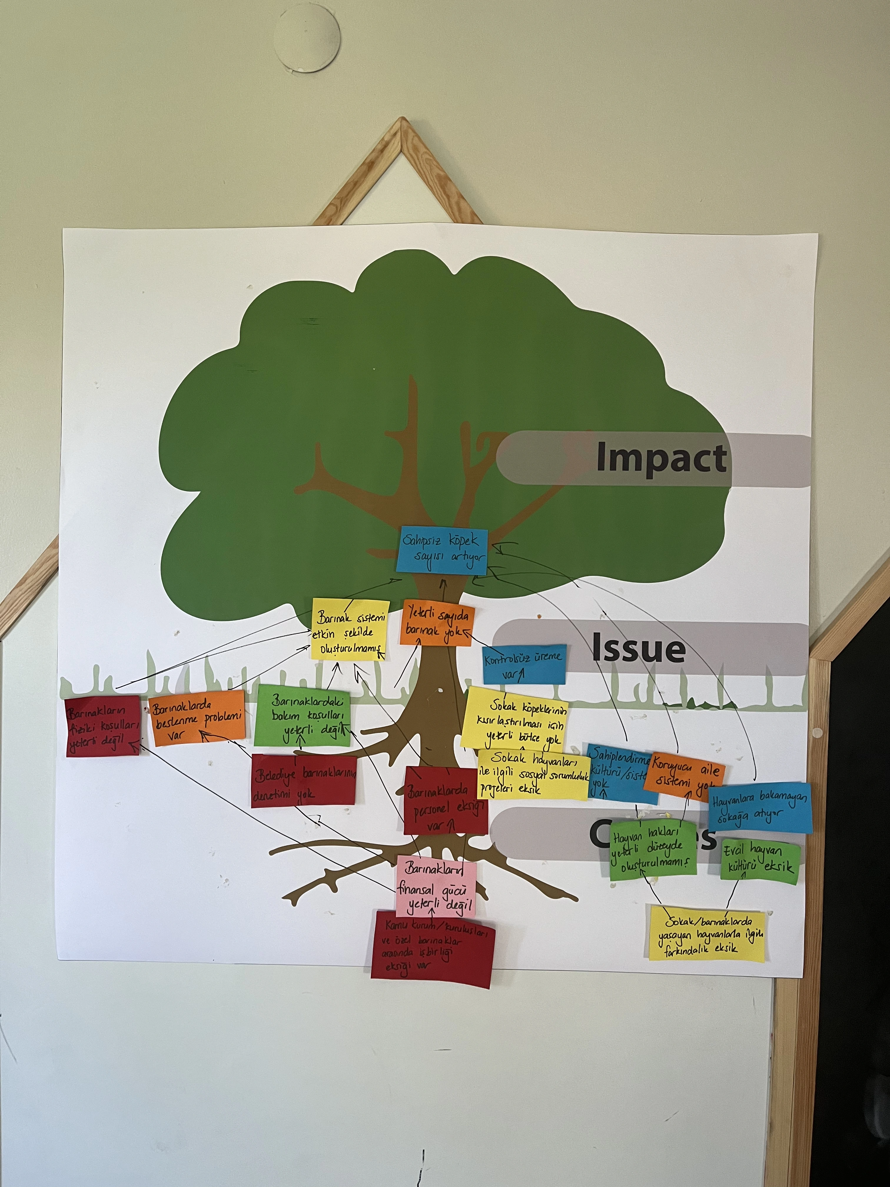 Sallanan Kuyruklar 1